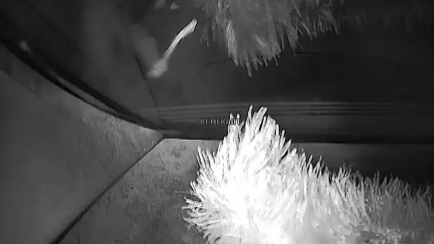 Adana'da minibüs hattı gerginliği