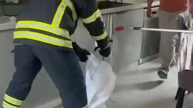 Adana'da mutfaktan yılan çıktı