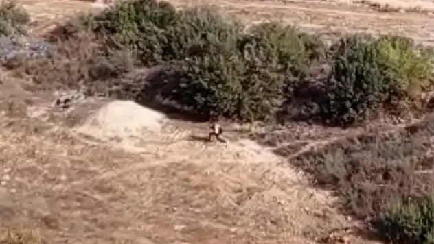 Kesinleşmiş hapis cezalı şahıs Adana'da polisi peşine taktı