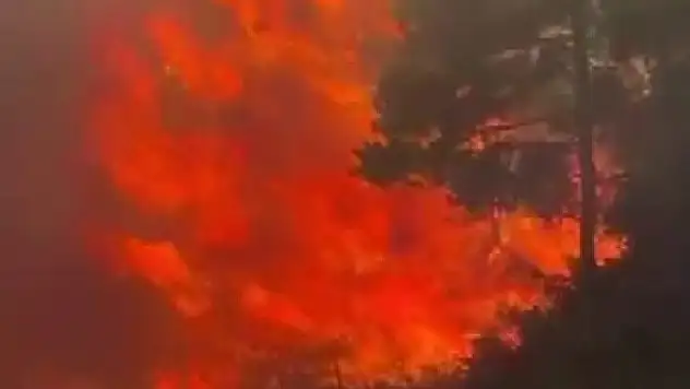 Adana Kozan'da korkutan yangın: Yerleşim yerlerine yaklaştı