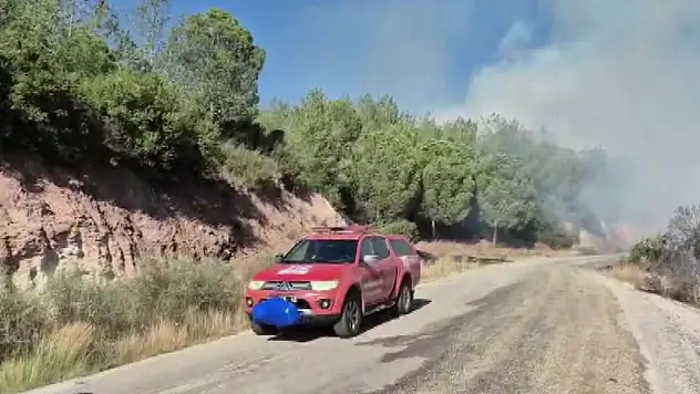 Ceyhan'da Orman Yangını Paniği: Müdahale Sürüyor