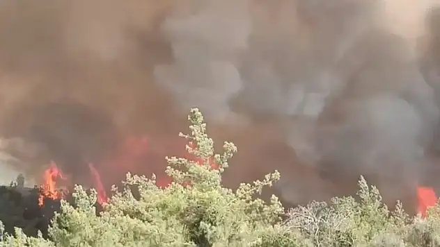 Adana'da orman yangına ekiplerin müdahalesi sürüyor!