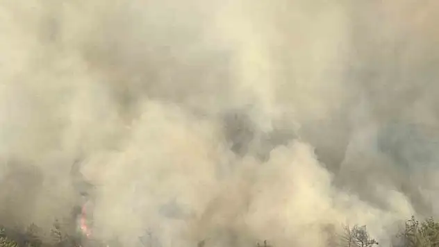 Adana'da orman yangınına çok sayıda hava aracı müdahale ediyor!