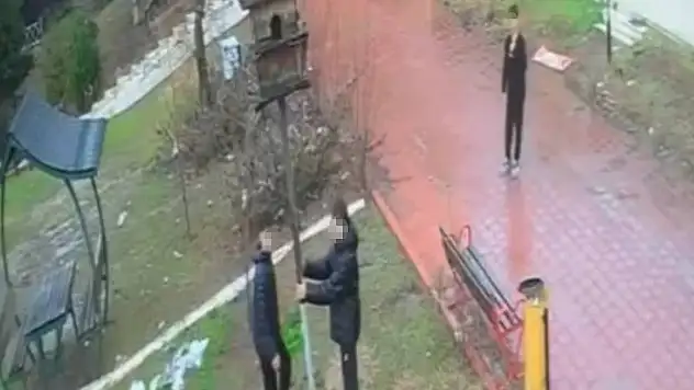 Parktaki kuş yuvasını parçaladılar