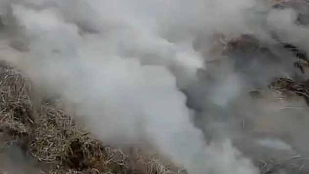 Adana'da samanlıkta yangın çıktı