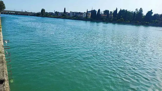Serinlemek için girdiği nehirde kayboldu! Ekipler seferber oldu