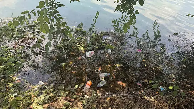 Adana'da Seyhan Nehri ve çevresindeki kirlilik alarmı!