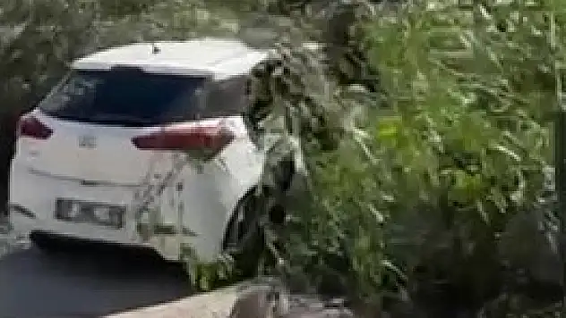 Adana'da rüzgar ağaçları devirdi