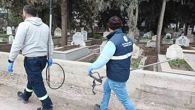 Adana'da köpek sürüsü korkusu