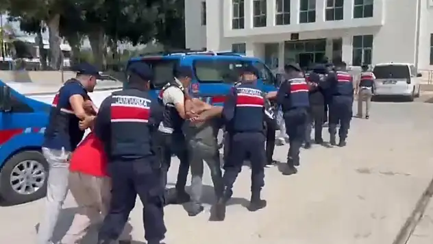 Jandarmadan organize suç örgütüne şafak operasyonu...