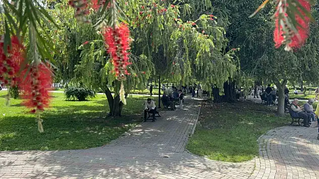 Termometreler 41 dereceyi gösterdi