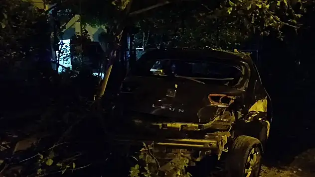 Adana'da Park Halindeki Araca Çaptı - Yaralılar Var!