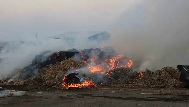Adana'da hasat dönemiyle birlikte kritik uyarı