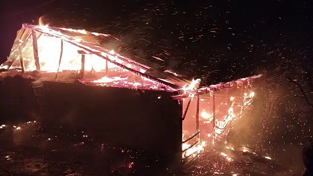 Ev ve ahır küle döndü