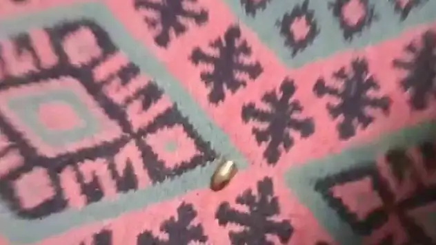 Yorgun mermi, ailenin oturduğu çardağa isabet etti!