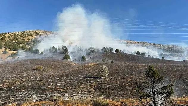 Adana'daki orman yangınında sevindiren gelişme!