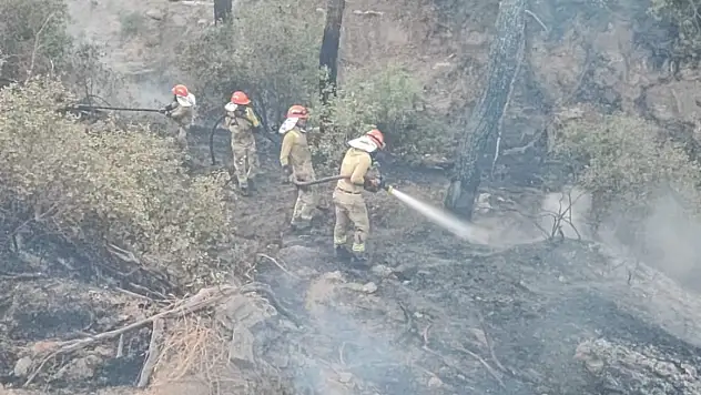 Adana'da ormanlık alanda yangın