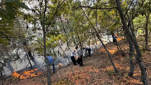 Feke'deki orman yangınına havadan ve karadan müdahale ediliyor