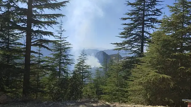 Adana Feke'deki orman yangını kontrol altına alındı