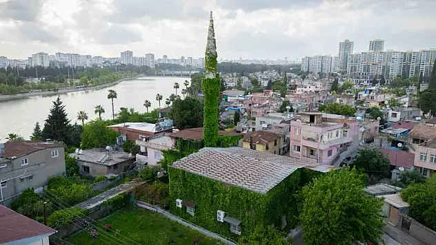 Köprüköy Cami bu sene de yeşil hayaline kavuştu!