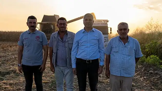 Adana tarım müdürü açıkladı: Mısırda 1 milyon 135 bin ton rekolte bekleniyor