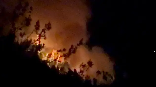 Adana ve Osmaniye'de 14 farklı noktada orman yangını çıktı, 13'ü kontrol altında