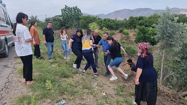 Önce emniyet kemeri sonra ağaç hayat kurtardı: Burnu bile kanamadı