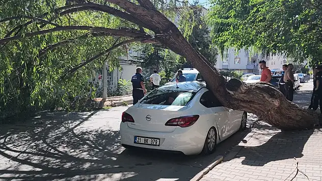 Ağacın devrildiği anlar panik yarattı! Park halindeki otomobil hasar gördü