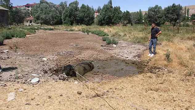 Sivas'ta ahırdan kaçan boğa ilçeyi birbirine kattı
