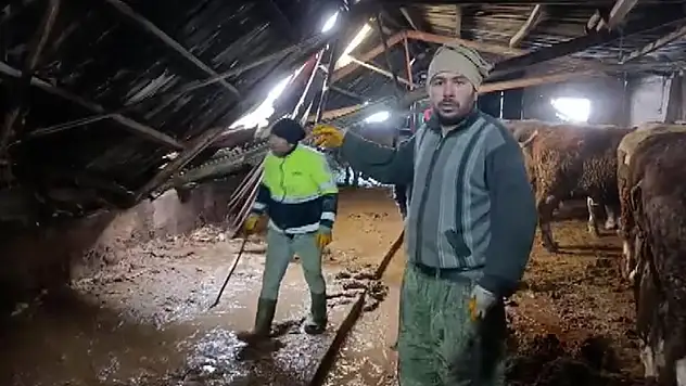 Biriken Kar Ahır Çatısını Çökertti