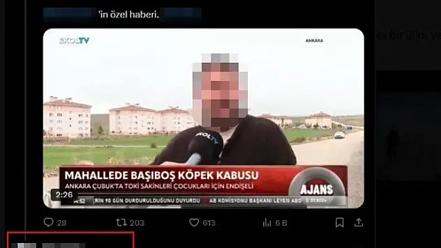 Aile sağlığı merkezinde köpek tedavi eden doktorun skandal ifadeleri yeniden gündem oldu