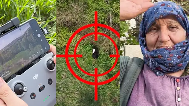 Akkışlalı Kezban nine drone sayesinde büyükbaş hayvanına kavuştu