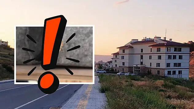 Akrep, yılan, sarıkız, kertenkele, çekirge, kırkayak… Kayseri'nin bu bölgesinde ne ararsan var!
