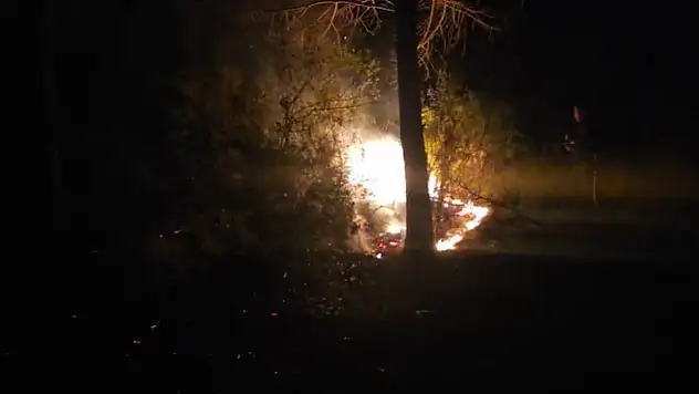 Alanya'da ormanlık alanda korkutan yangın!