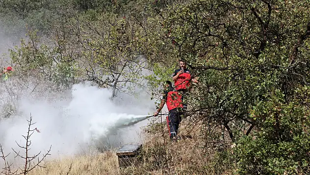'Alev Kalkanı - Ali Dağı Koruma Projesi'  hayata geçiriliyor - İşte tüm detaylar!