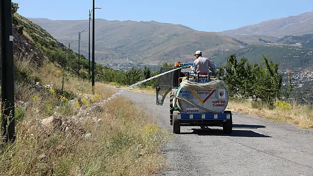 Ali Dağı Artık Daha Yeşil