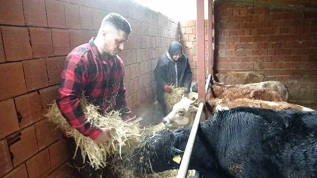 Almanya'dan köyüne dönen genç çobanlık mesleğine başladı!