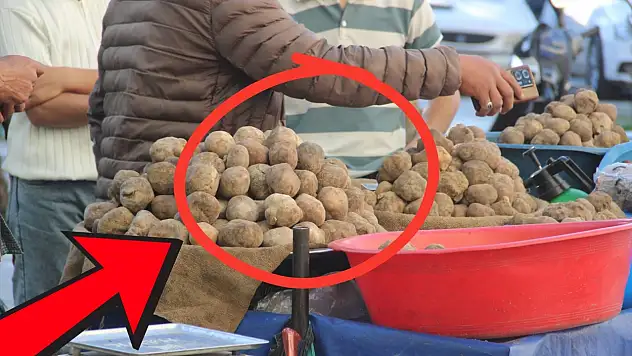 Altın arar gibi arıyorlar, kilosu etten pahalı: Kayseri'de de var mı?