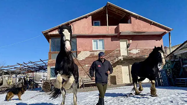 Sıra dışı yaşam: Onlarca hayvanla ortak hayat kurdu
