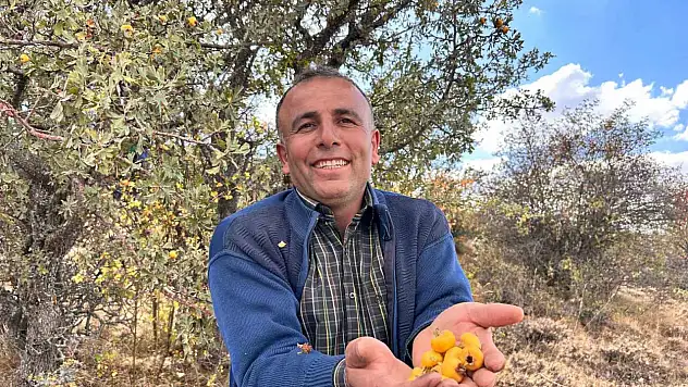 Alıç meyvesini anlattı!