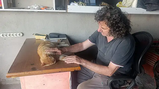 Antalya'da gözleri görmeyen köpeğe 13 yıldır evladı gibi bakıyor