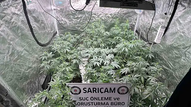 Apartman dairesine uyuşturucu serası kurmuşlar!