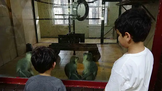 Öğrenciler ara tatilde soluğu hayvanat bahçesinde aldı
