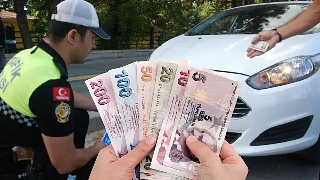 Araç sahiplerine yeni plaka detayı! Resmî Gazete'de yayımlandı: O durumda para ödenmeyecek