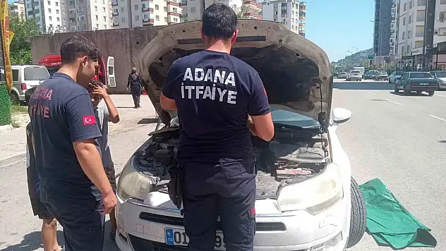 Adana'da minik kedi alarmı: İtfaiye peşinden koştu