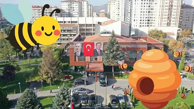 ''Arılar Çoğalsın, Bereket Katlansın'' projesine başvurular başladı