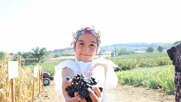 Aronya yetiştiriciliğinde ilk hasat gerçekleştirildi!