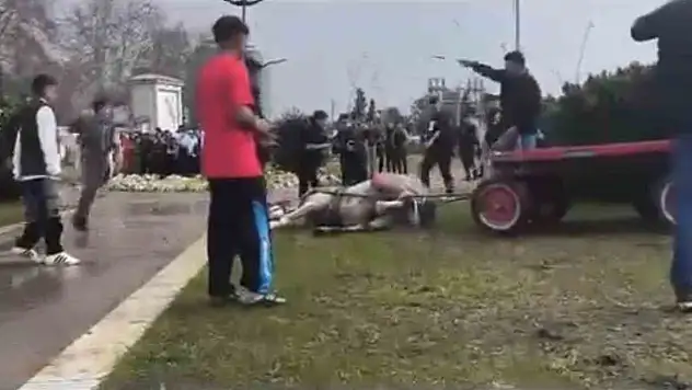 Koşmadı diye atını dövdü
