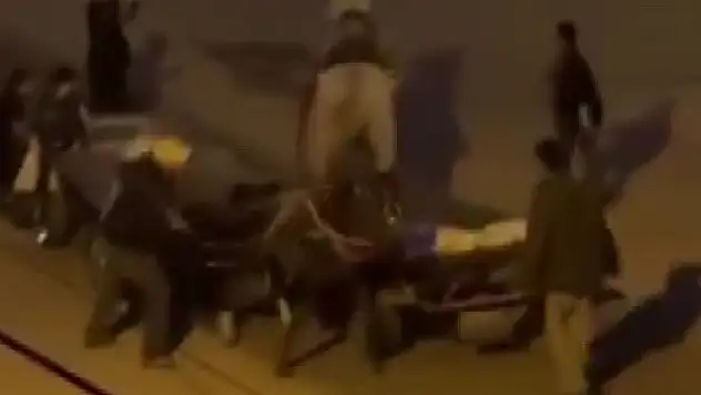 Adana'da atlara işkence kamerada!