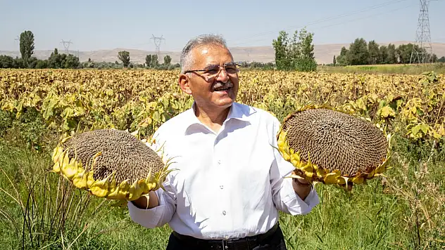 Ayçiçeğinde 37 bin TL açıklandı! Kayseri'de gözler yeni sezon fiyatlarında